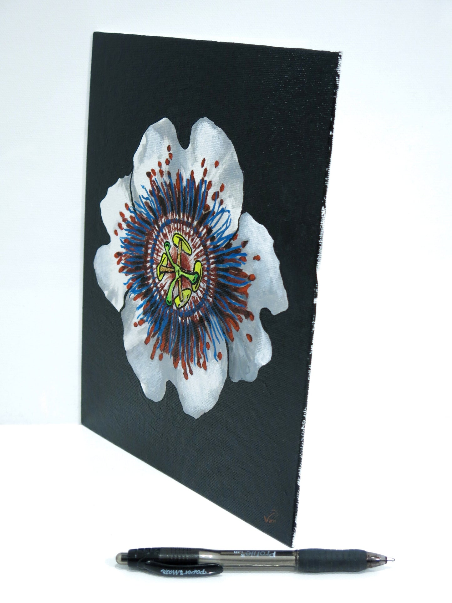 8 x 10 Vonflora Passiflora Orchid Painting Orchid Art
