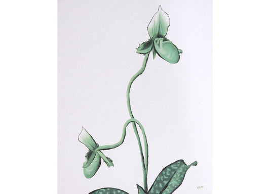 8 x 10 Orchid Painting Paphiopedilum Lady Slipper Orchid Art