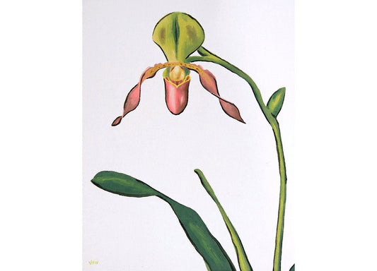 8 x 10 Paphiopedilum Paph Lady Slipper Orchid Painting Orchid Art Orchid Artwork Orchid Wall Art Decor Orchid Oil Painting
