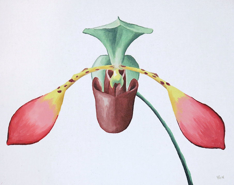 8 x 10 Lowii Orchid Lady Slipper Orchid Painting Floral Oil Painting Lowii Painting Orchid Artwork Orchid Wall Art Decor Flower Painting