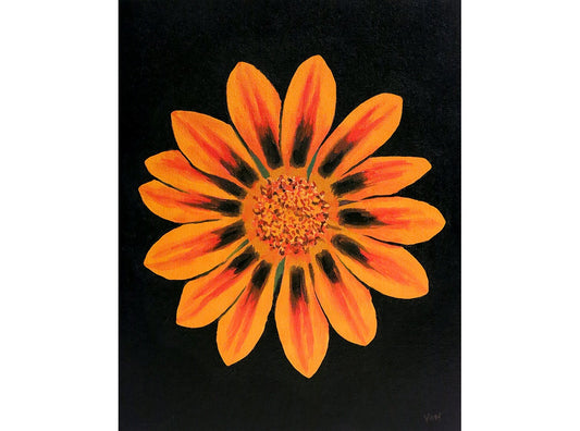 8 x 10 Daisy Flower Oil Painting Daisy Painting Daisy Art