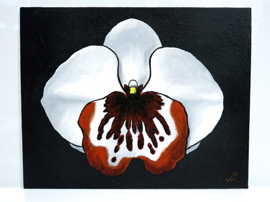 8 x 10 Vonflora Miltonia Pansy Moth Orchid Painting Orchid Art