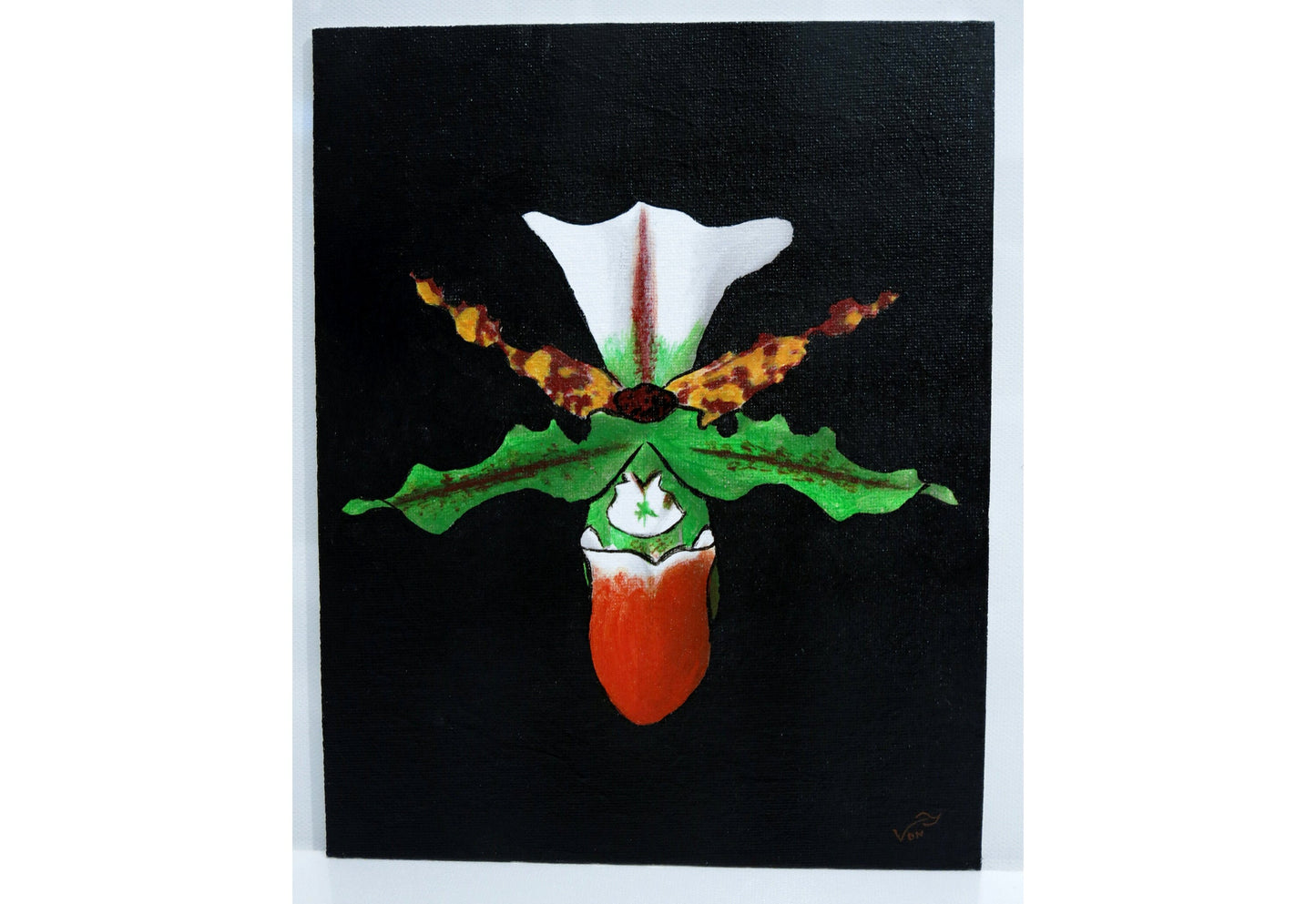 8 x 10 Vonflora Lady Slipper Orchid Painting