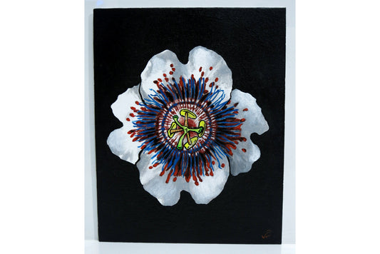 8 x 10 Vonflora Passiflora Orchid Painting Orchid Art