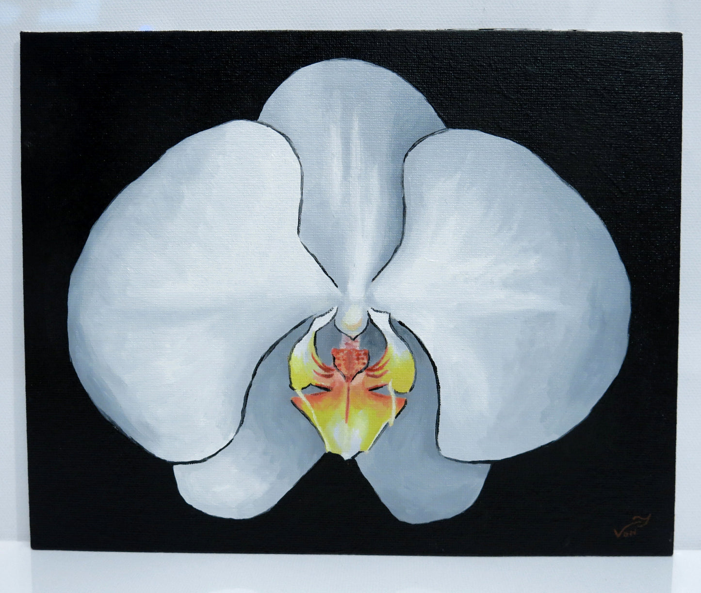 8 x 10 White Moth Orchid Painting Orchid Art