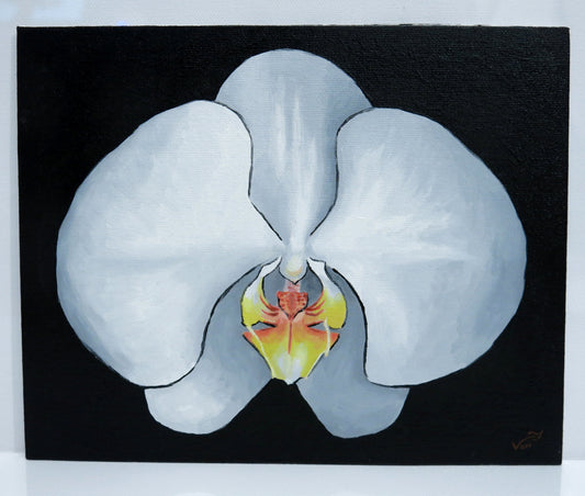 8 x 10 White Moth Orchid Painting Orchid Art