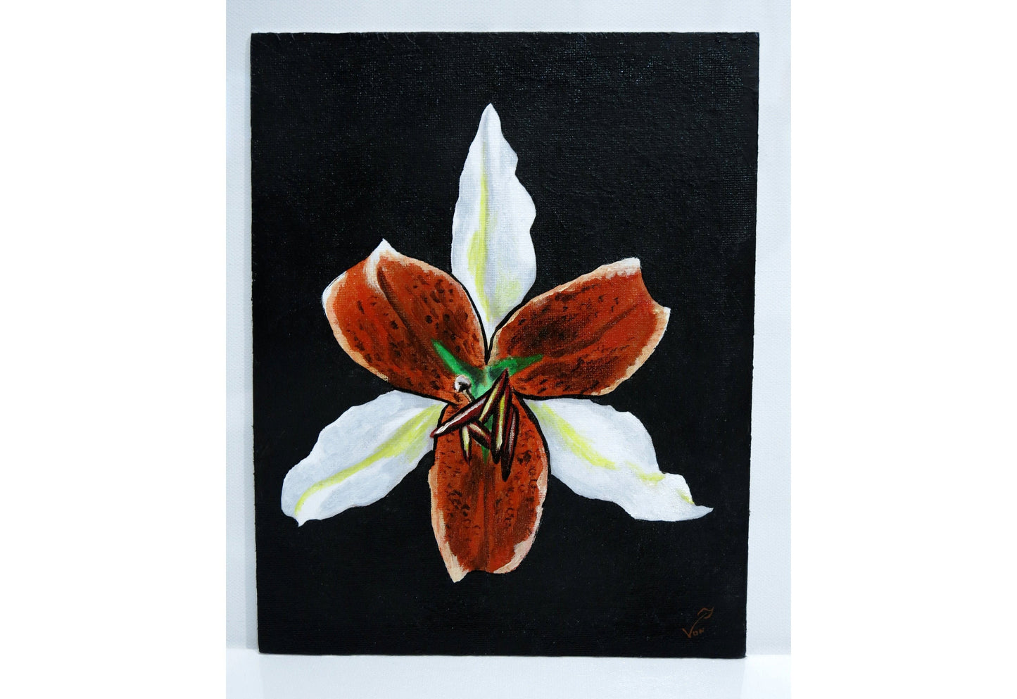8 x 10 Vonflora Stargazer Lily Flower Lily Painting Lily Art