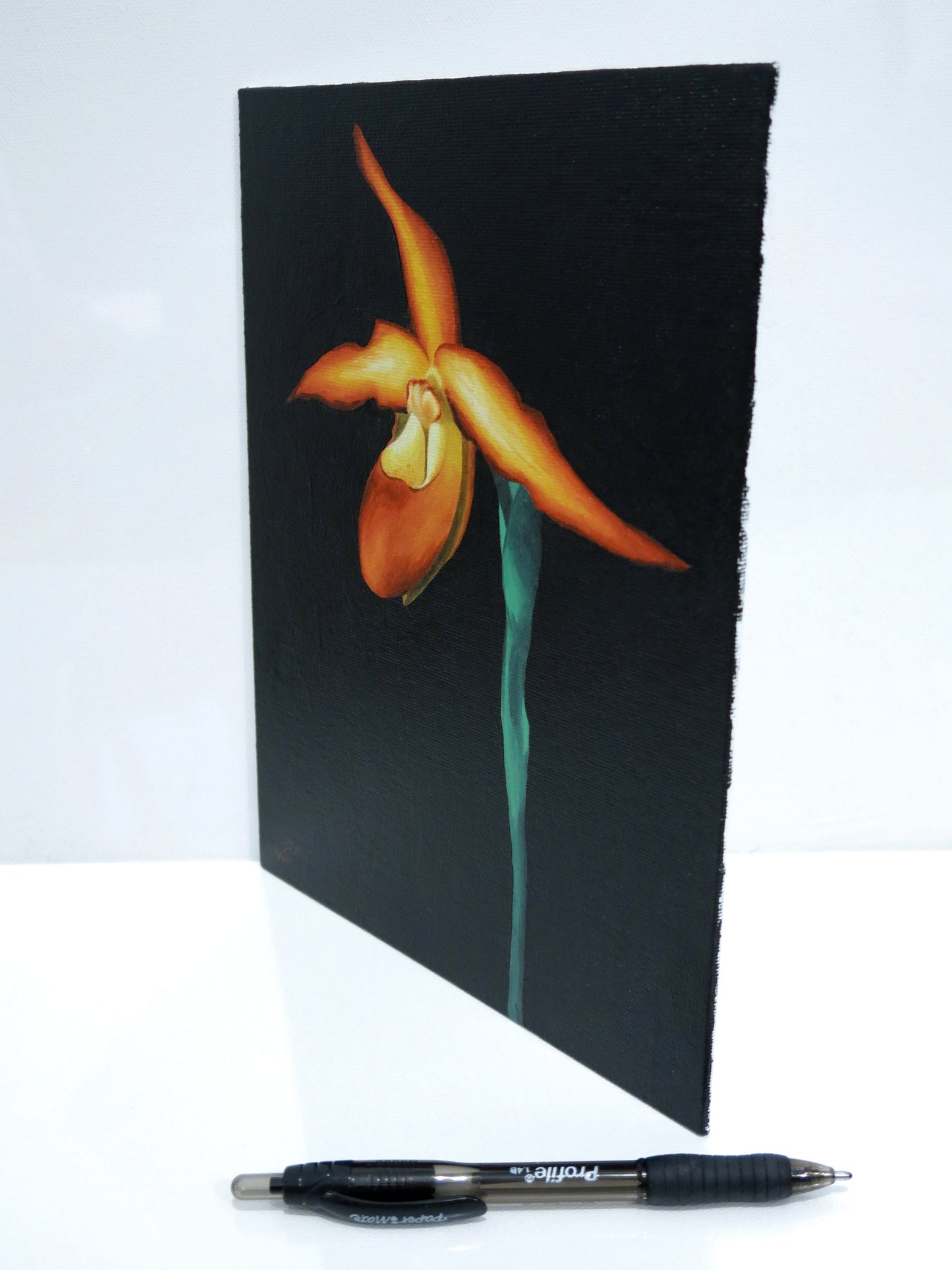 8 x 10 Orchid Painting Phragmipedium Besseae Lady Slipper Orchid Besseae Painting