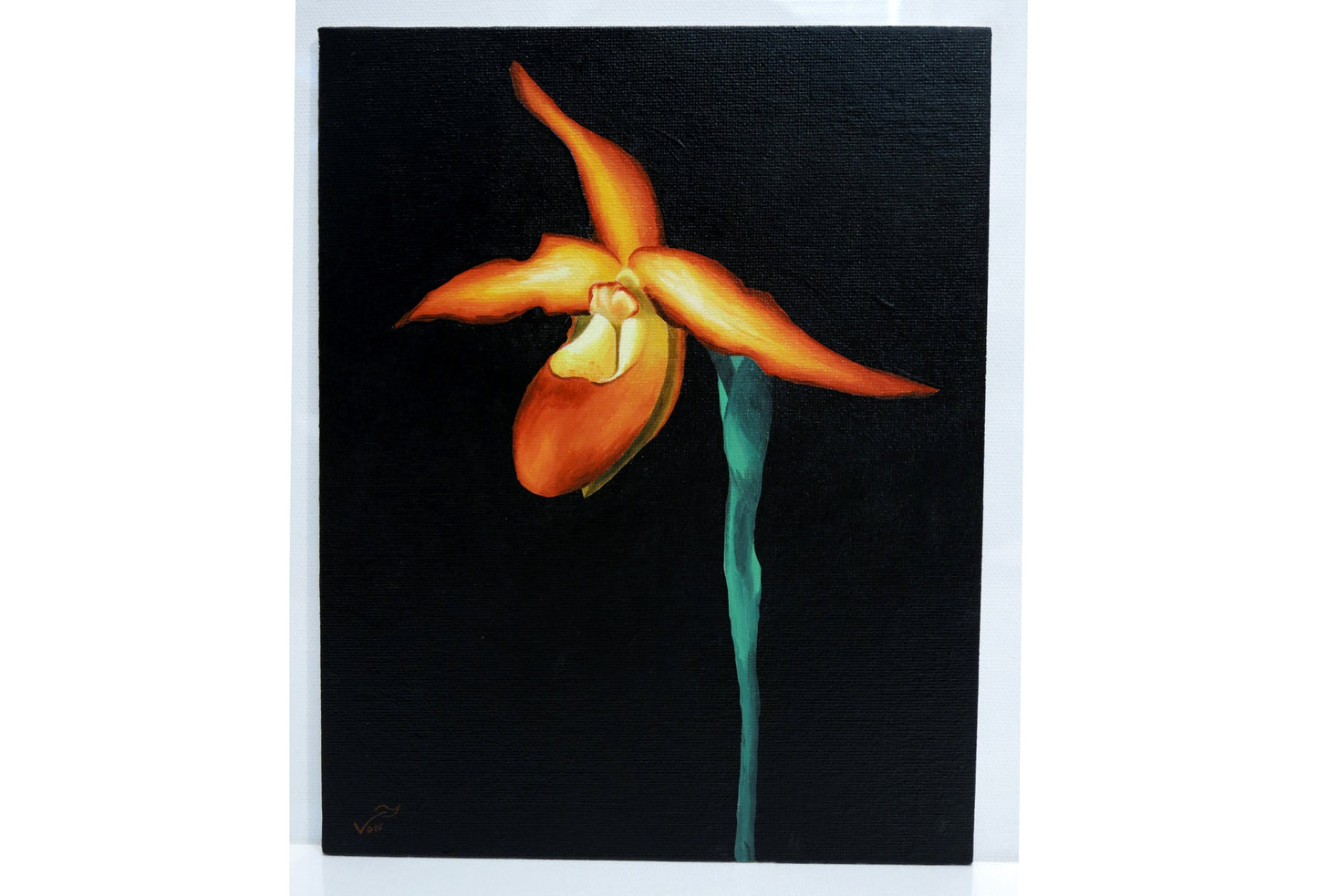 8 x 10 Orchid Painting Phragmipedium Besseae Lady Slipper Orchid Besseae Painting