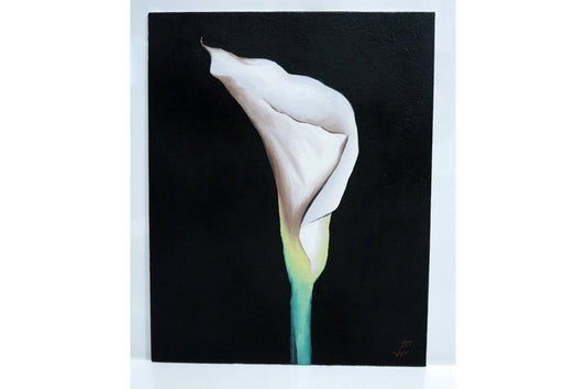 8 x 10 White Calla Lily Painting Calla Lily Art