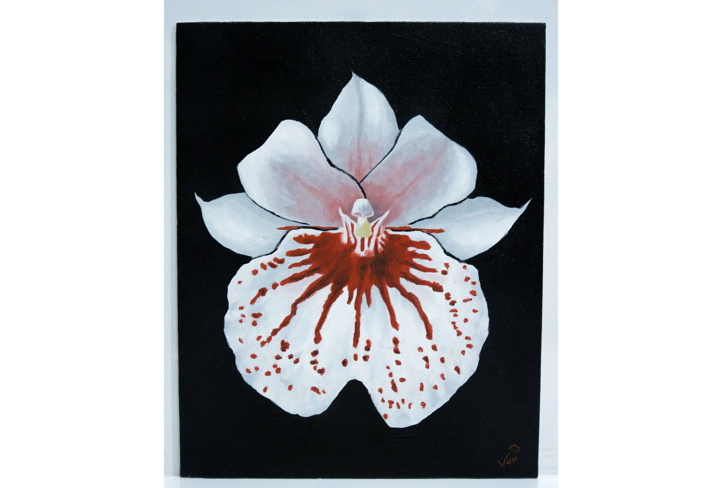 8 x 10 Miltonia Pansy Orchid Painting Orchid Art