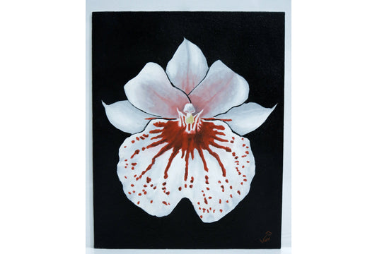 8 x 10 Miltonia Pansy Orchid Painting Orchid Art