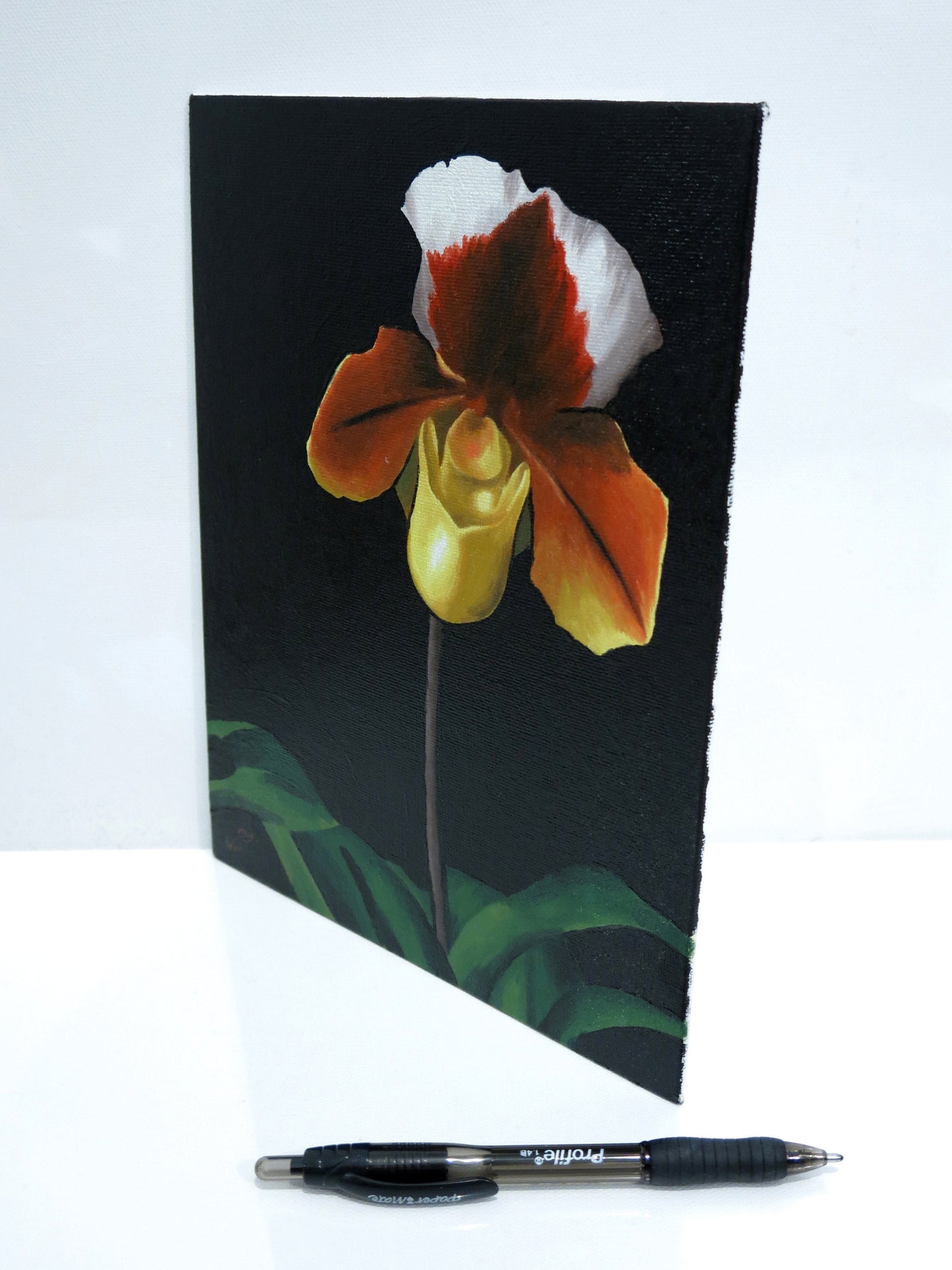 8 x 10 Orchid Painting Paphiopedilum Lady Slipper Orchid Art