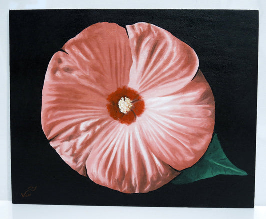 8 x 10 Pink Rose Luna Hibiscus Painting Flower Painting Hibiscus Art